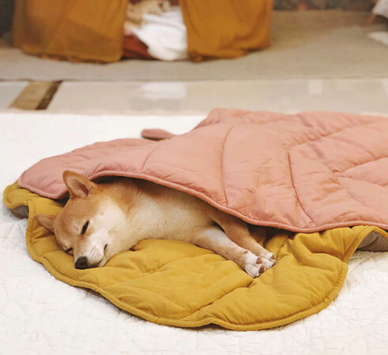 Leaf Shape Dog Blanket