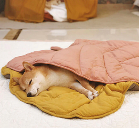 Leaf Shape Dog Blanket
