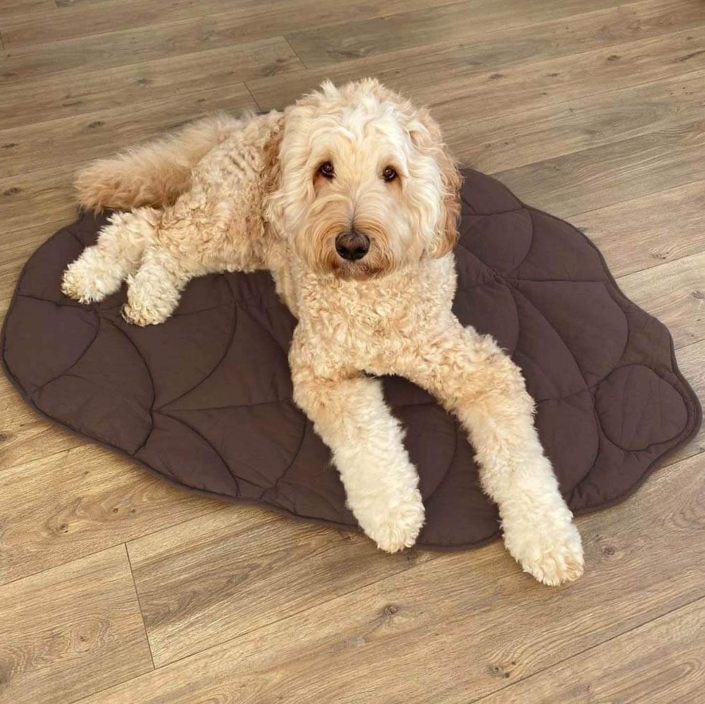Leaf Shape Dog Blanket