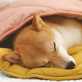 Leaf Shape Dog Blanket