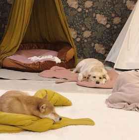 Leaf Shape Dog Blanket